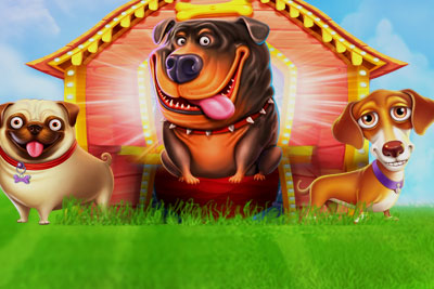 Escenario del juego The Dog House Megaways